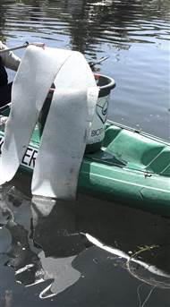 GREEN KAYAK BRoCHNER HOTELS (7)