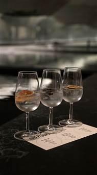Hotel OttiliaSignature Gin Bar