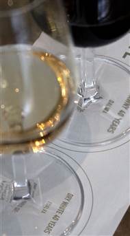 Port Wine Flight Brochner Hotels (1)