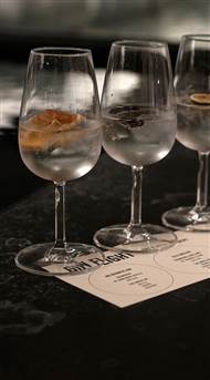Hotel OttiliaSignature Gin Bar